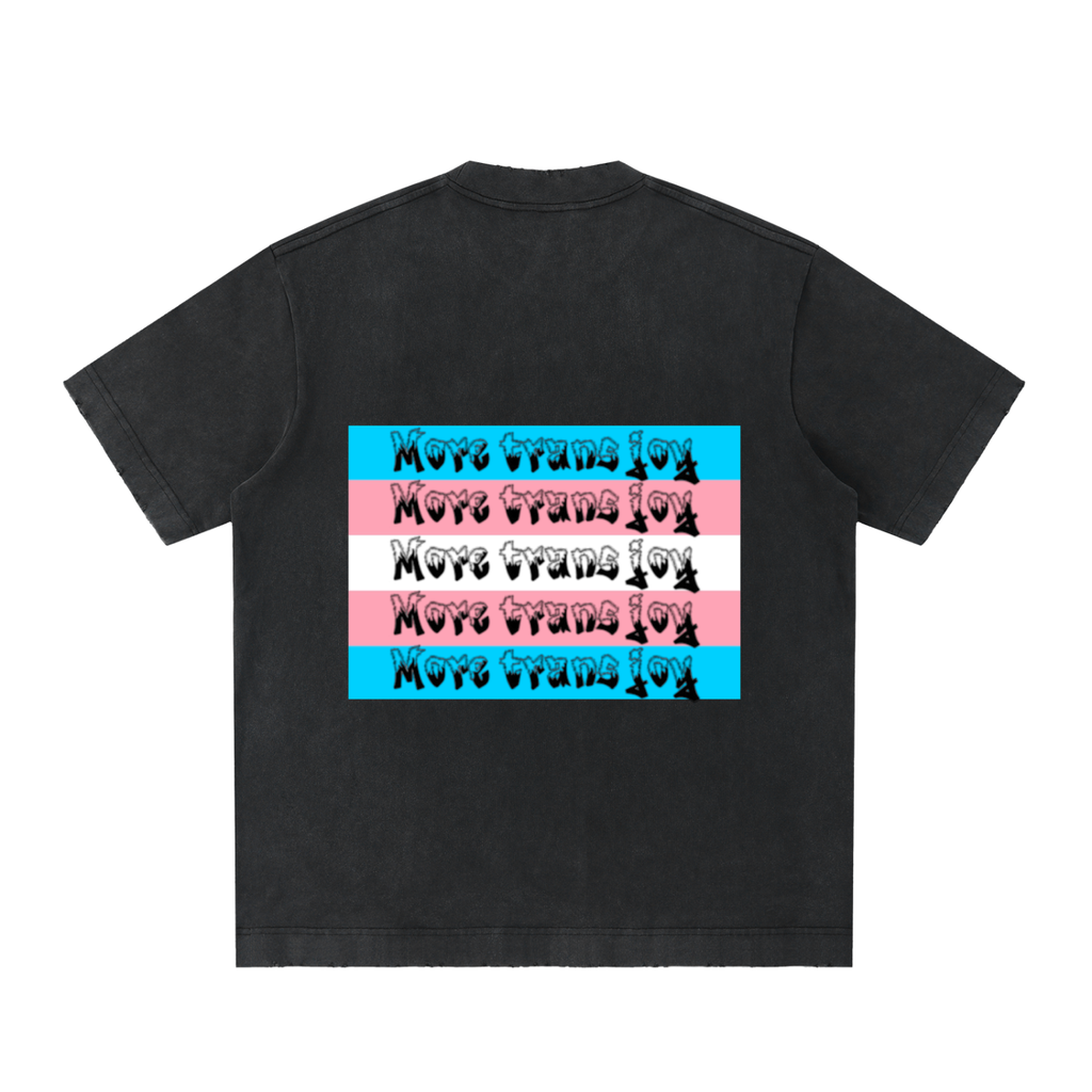 Double r globe trans joy tee