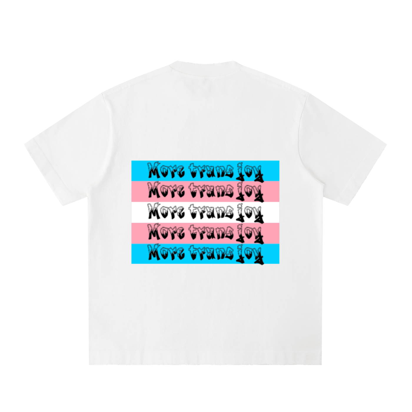 Double r globe trans joy tee