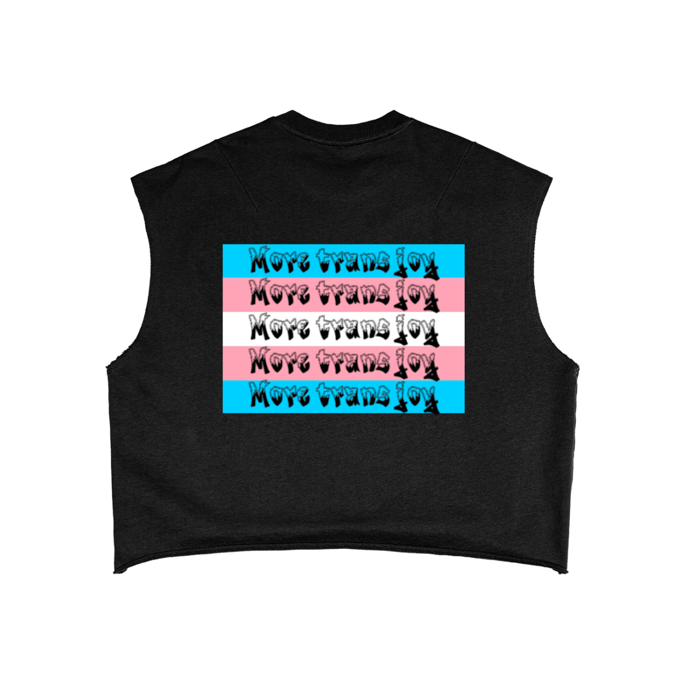 Double r globe trans joy cut off tee
